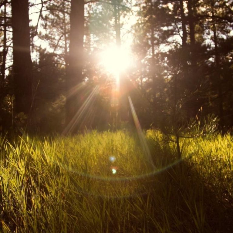 Mainly sunny, showers & risk of thunderstorm tonight, high 23°C