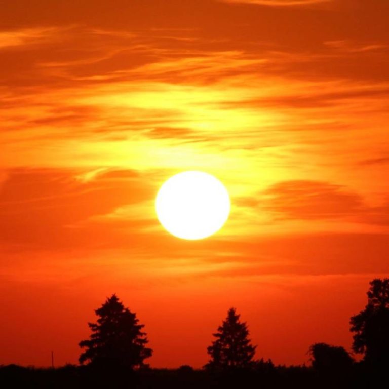 Mix of sun & cloud, high 21°C