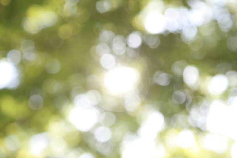 Mix of sun & cloud, chance of showers, thunderstorm risk, high 30°C, humidex 37°C