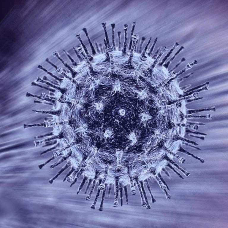 One new COVID-19 case confirmed in Chatham-Kent