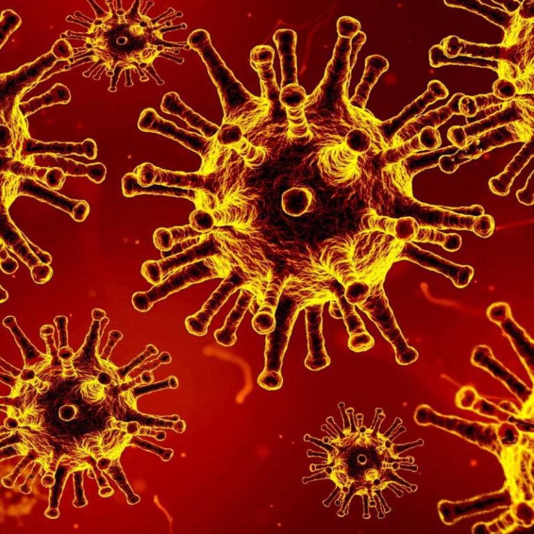 Four new COVID-19 cases confirmed in Chatham-Kent