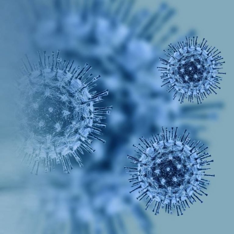 One new active case of COVID-19 in Chatham-Kent