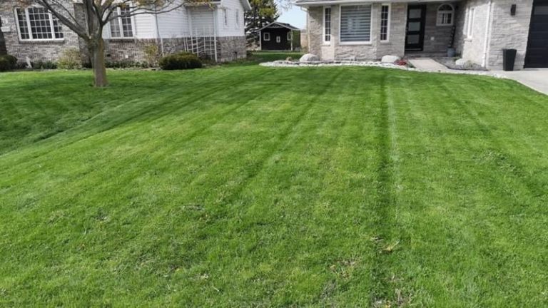 Dylan’s Property Maintenance      519-328-7741