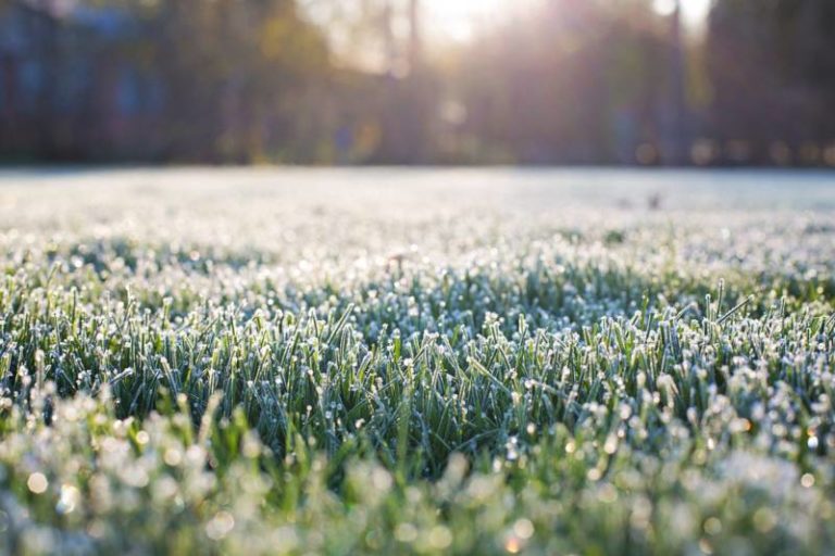 Frost advisory issued in Chatham-Kent