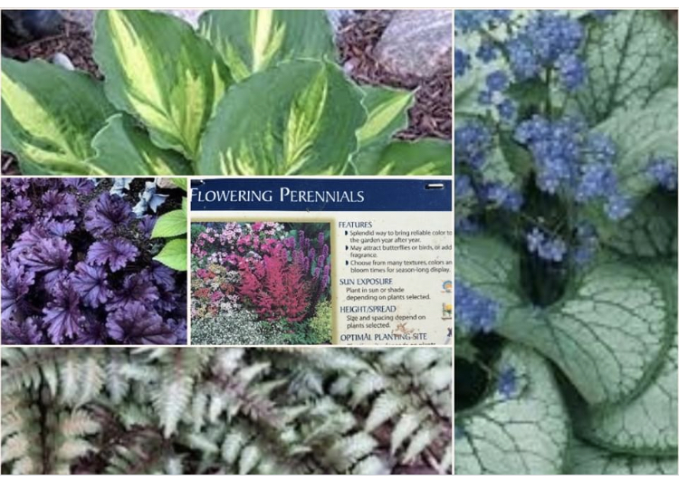 Kentwood Gardens- Uncle Tom’s Rd. Dresden