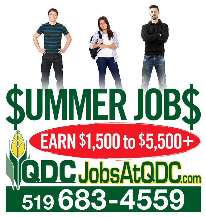 QDC hiring over 100 corn detasselers in Wallaceburg, Dresden area