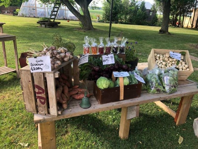 Country Market Garden 7346 Riverview Line Chatham