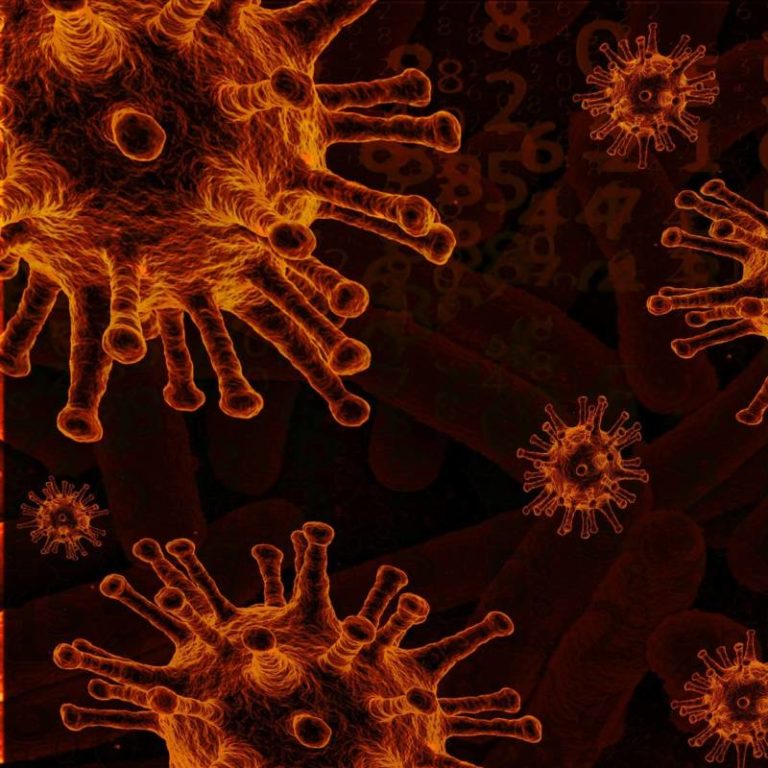 One new COVID-19 case at Greenhill Produce, C-K’s total at 146