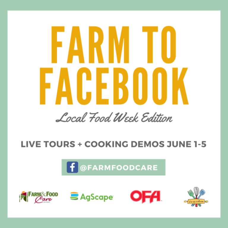 Kent and Essex Mutual Insurance