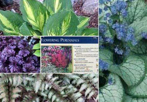 Kentwood Gardens – Uncle Tom’s Rd. Dresden