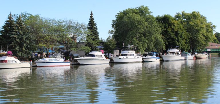 WAMBO 2020 cancelled due to COVID-19