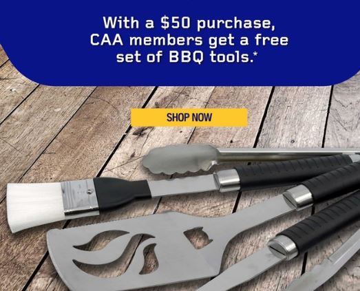 Napa Auto Parts – Selkirk St. Wallaceburg