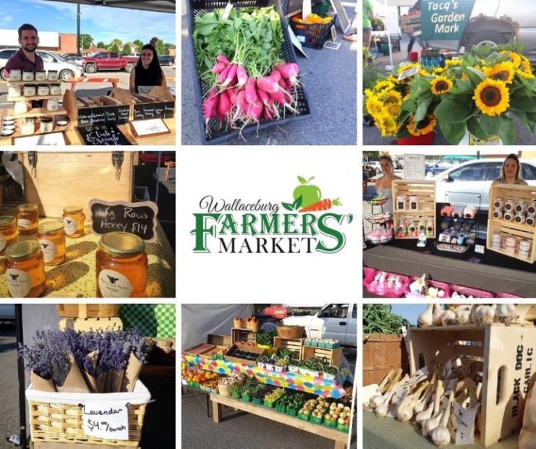 15 vendors lined up for next Wallaceburg Farmers’ Market
