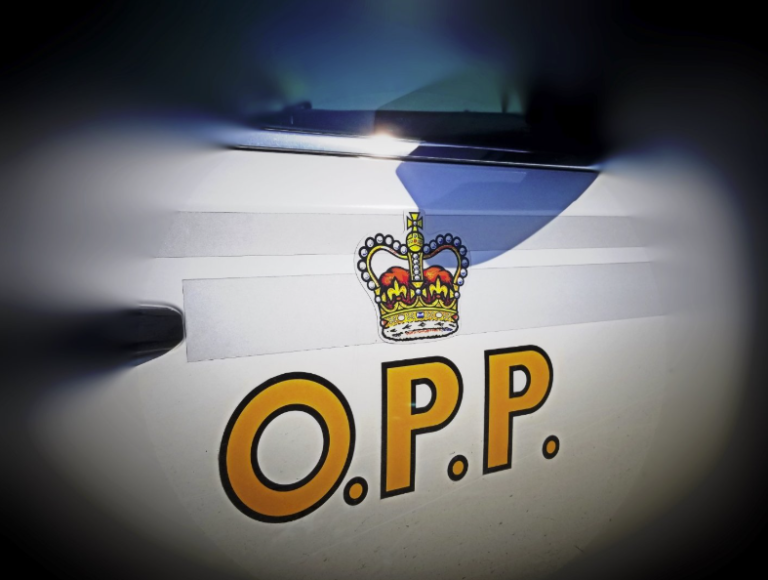 Transport crash on the 401 leads to charges