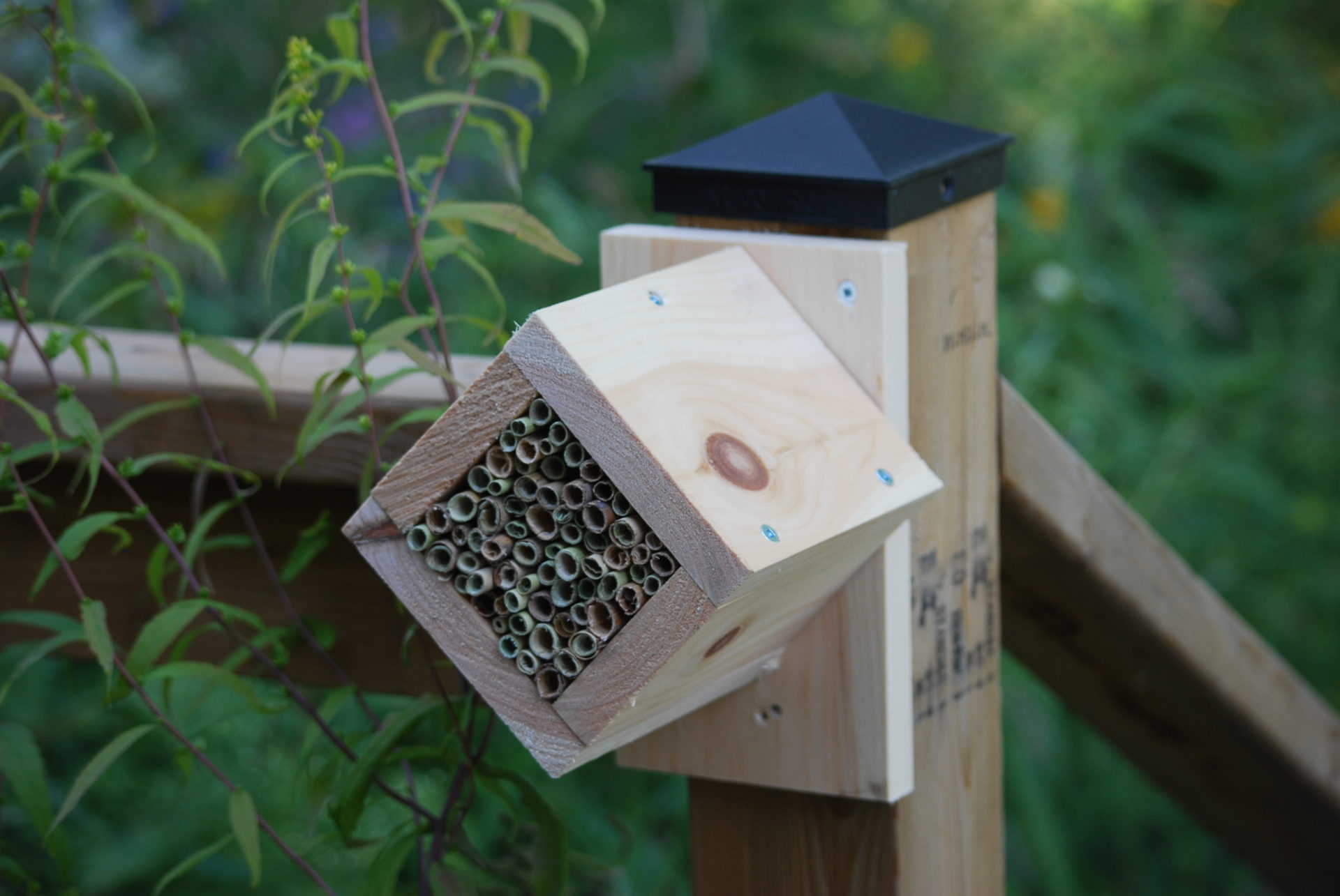 Simplepollinator Box Supporting pollinators | Wallaceburg News | Local news in Wallaceburg ...