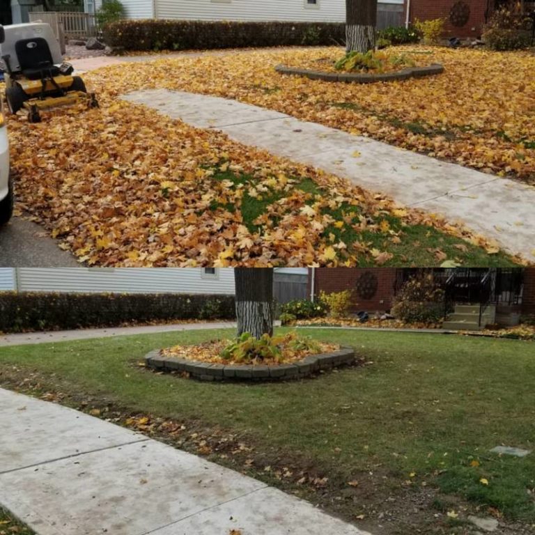 Dylan’s Property Maintenance  (519) 328-7741