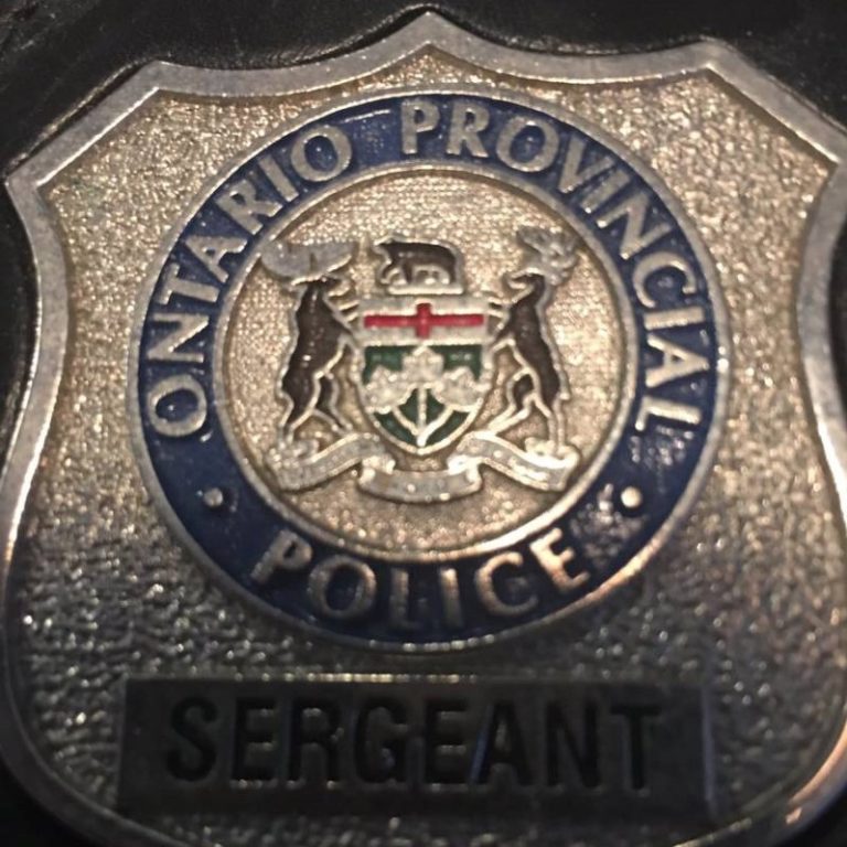 Update: No charges expected after a pedestrian was struck and killed on the 401