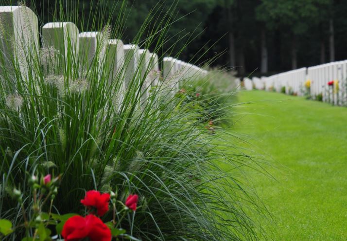Anderson Law in Wallaceburg and Chatham Remember