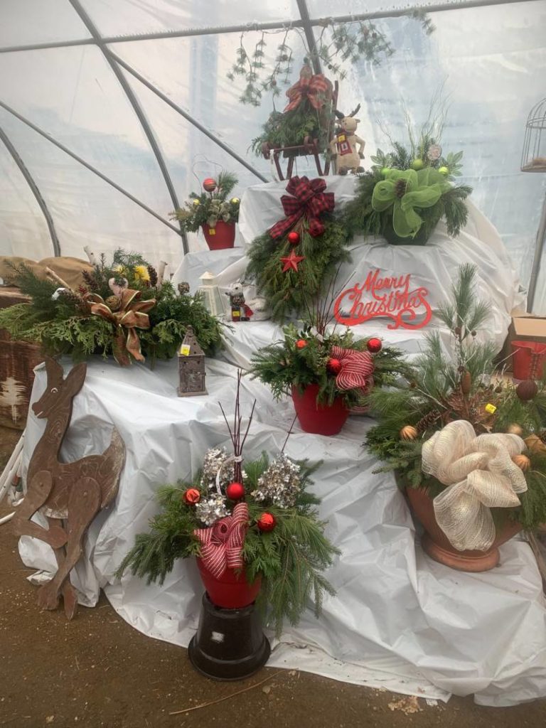 Kentwood Gardens – Uncle Tom’s Rd in Dresden