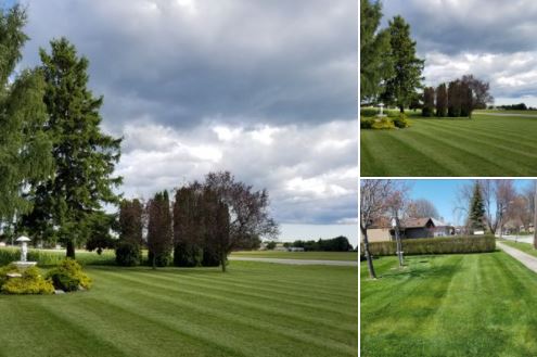 dylan's property green grass