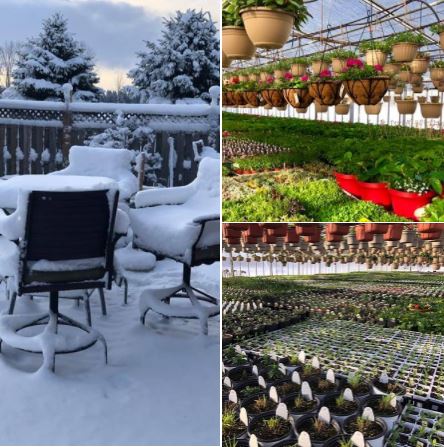 Flowerbed Greenhouses