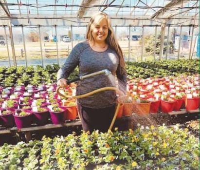 The Flowerbed Greenhouses