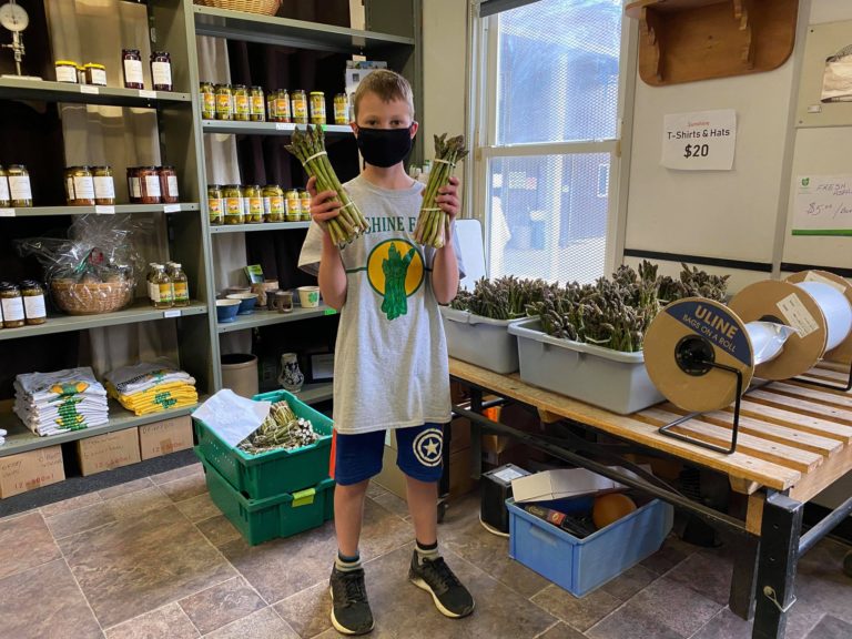 Sunshine Farms’ asparagus is ready for the season in Thamesville