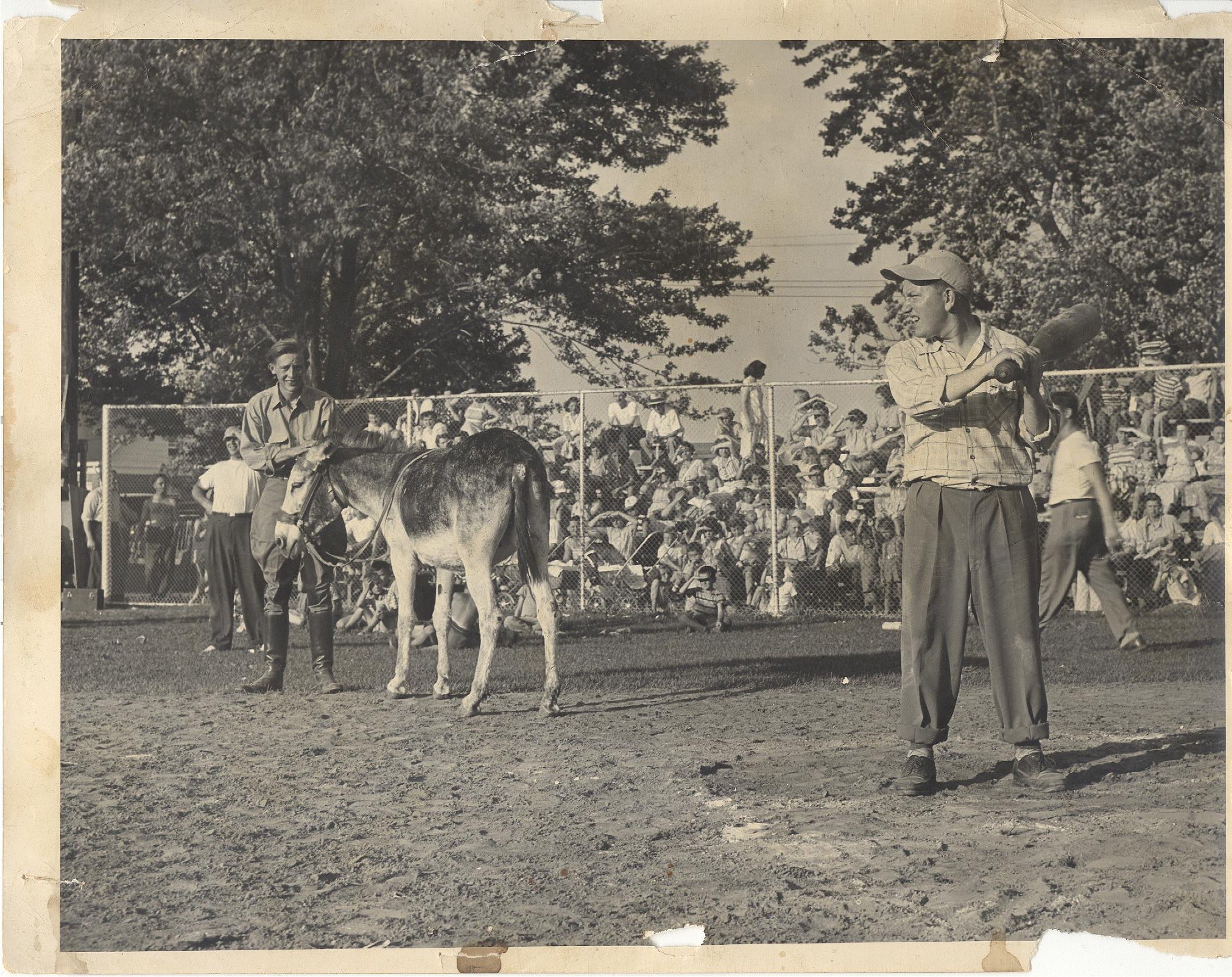 TBT 'Donkey Baseball' in Wallaceburg