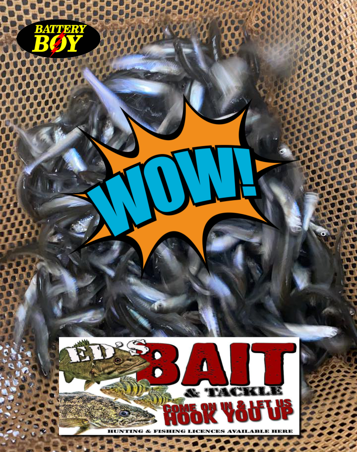 WOW! Win a $100 Ed’s Bait Gift Certificate!
