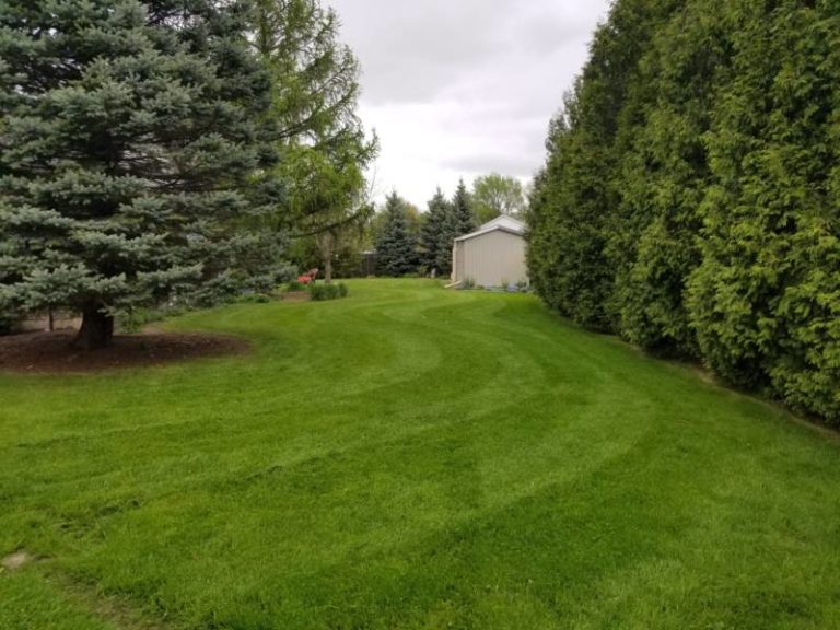 Dylan’s Property Maintenance – 519-328-7741