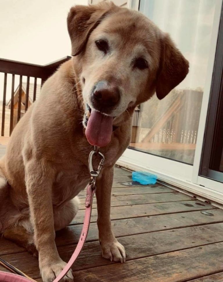 Missing in Wallaceburg from Water Street