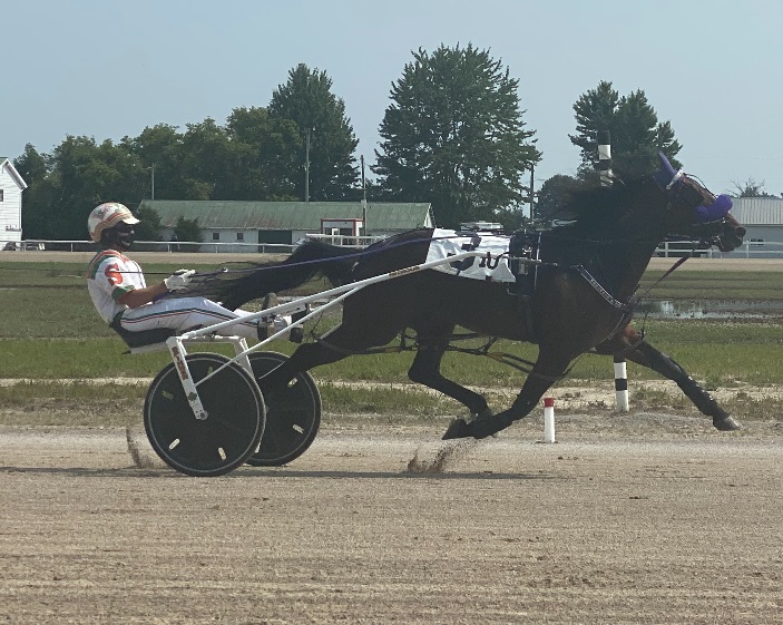 ‘Bigmacwithcheese’ captures $15,900 Mark Austin Pacing Series final win