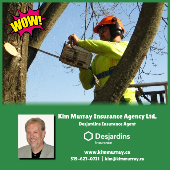 WOW! CK Tree Care is giving away $100 in CASH!