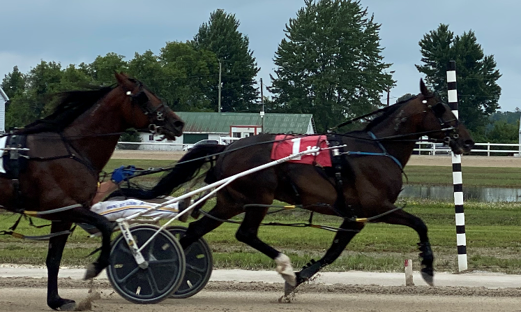 Dresden rallies to save race day