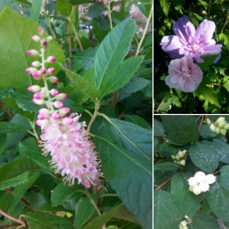 All Seasons Nursery & Flowers
