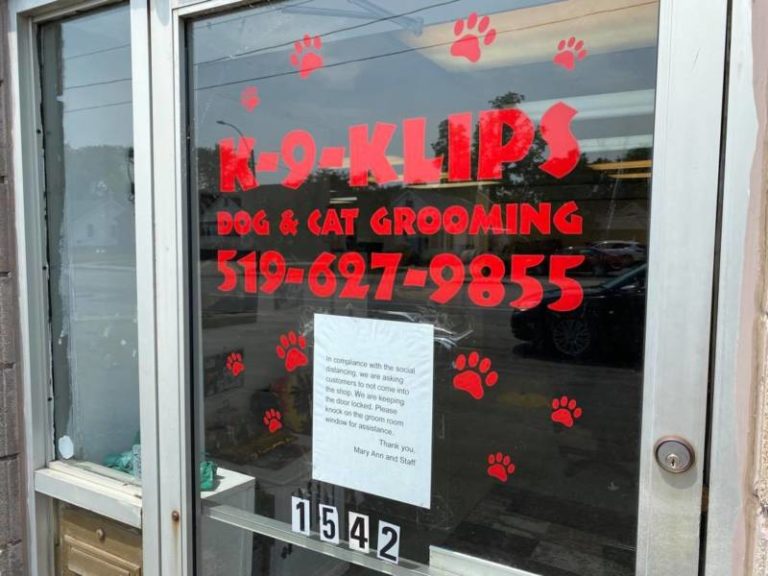 K9 Klips  – Dog and Cat Grooming