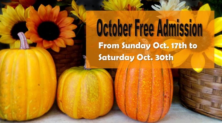 Wallaceburg Museum Free Admission