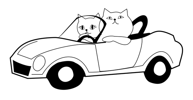 drive-1256744_640