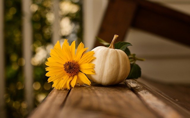 Thanksgiving Day hours across C-K & at CKHA