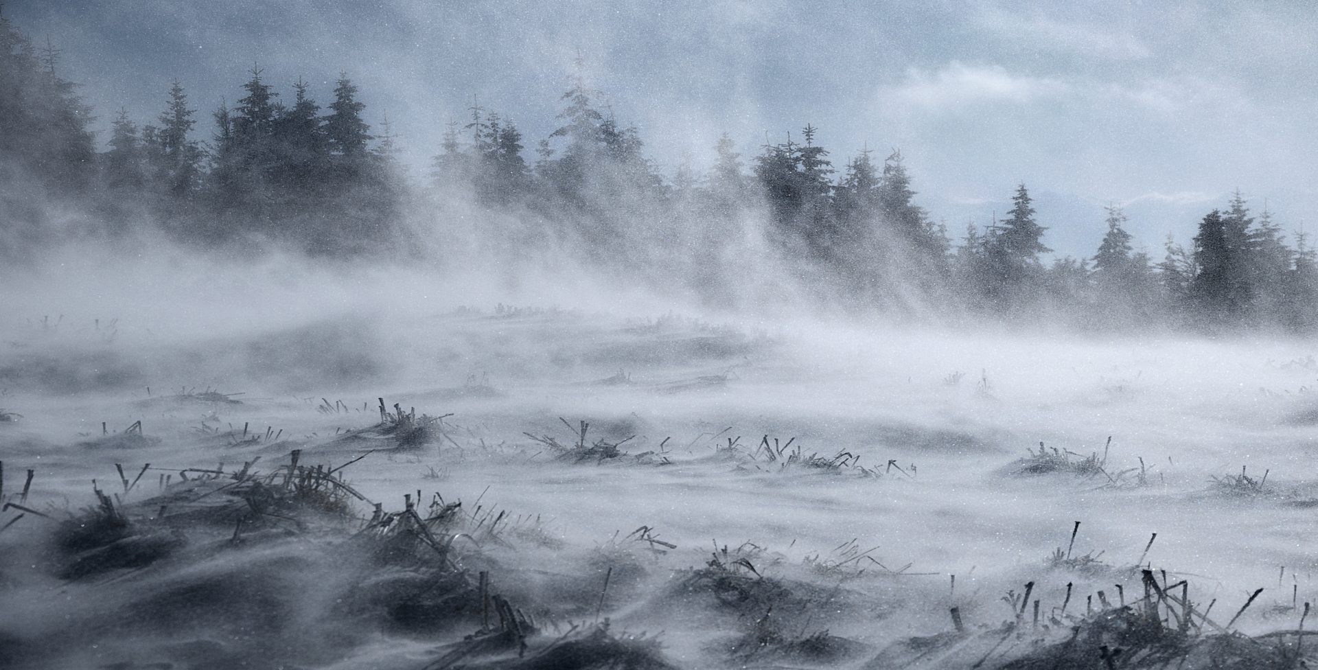 Cloudy, chance of flurries, blowing snow, 50 km/h wind gusts, high 0°C ...