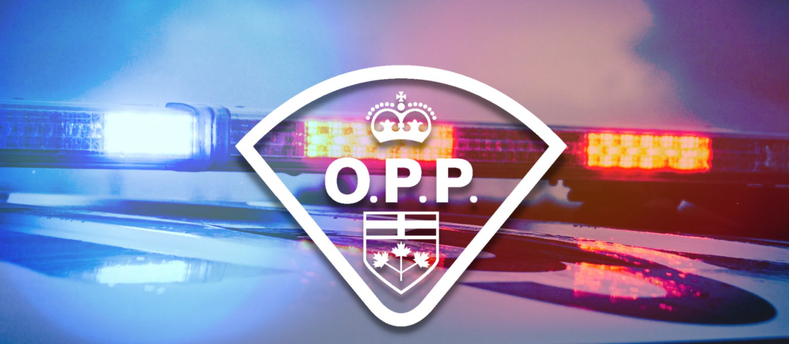 OPP: Automated License Plate Recognition system helps identify ...