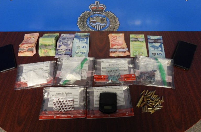Cocaine, fentanyl and crystal meth seized in Sarnia