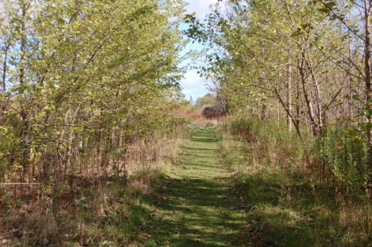 Perch Creek Habitat Management Area set to be closed for parking lot upgrades