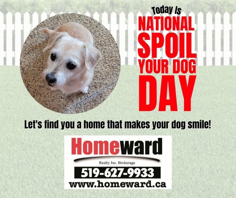 Let’s find you a home that makes your dog SMILE!