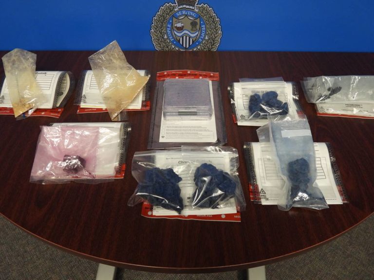 ‘Largest valued seizure of fentanyl’ made by the Sarnia Police