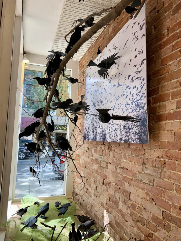 New exhibits take flight at ARTspace