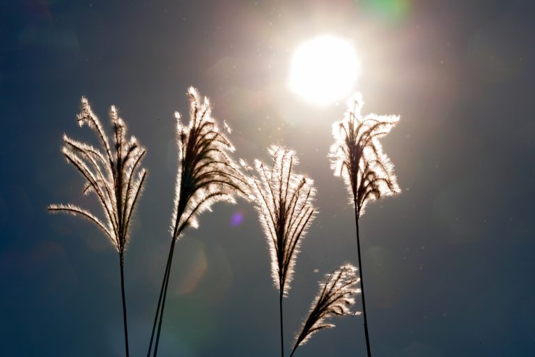 Mainly sunny, high 3°C, wind chill -7°C, chance of flurries overnight