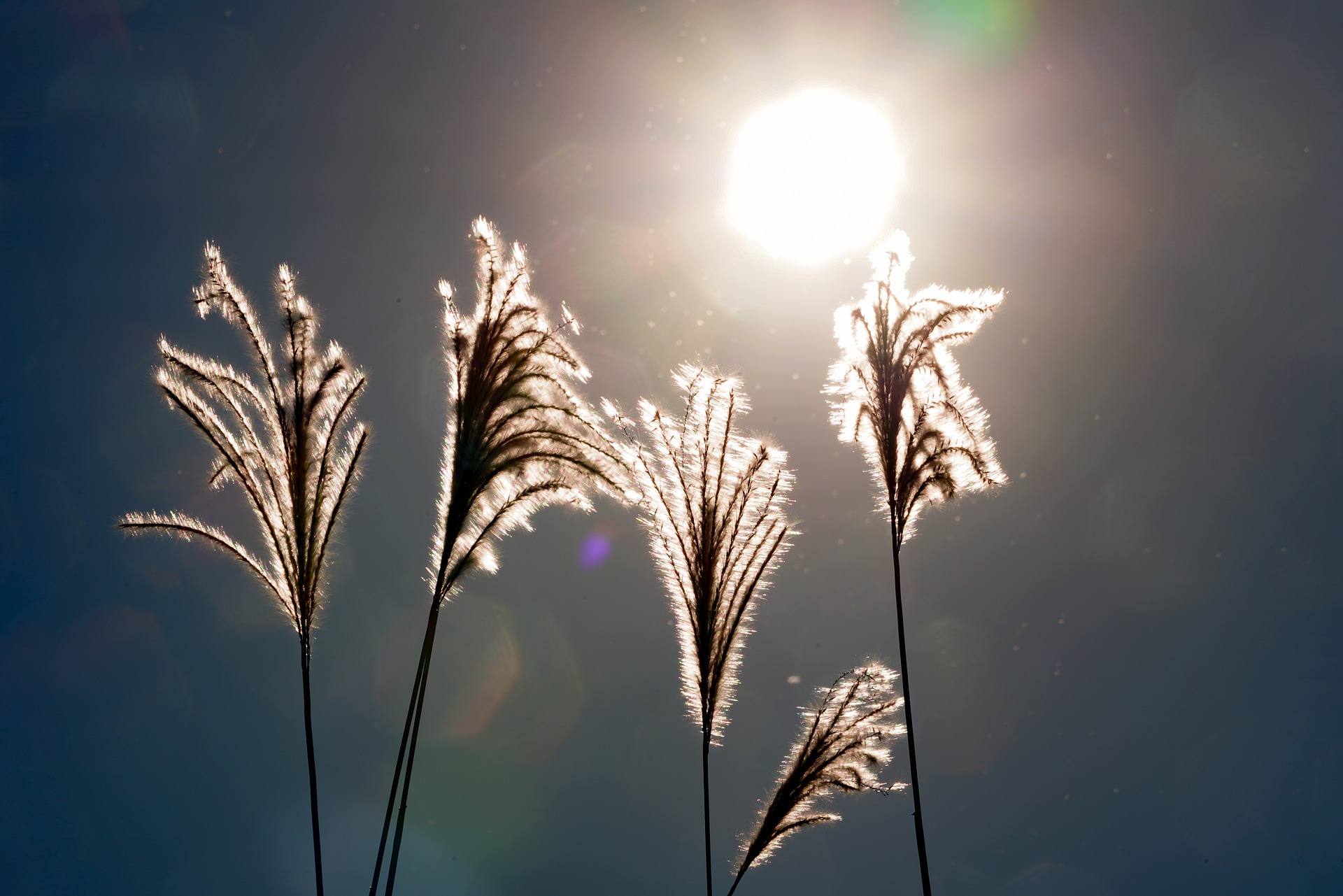 Mainly sunny, 50 km/h wind gusts, high 6°C