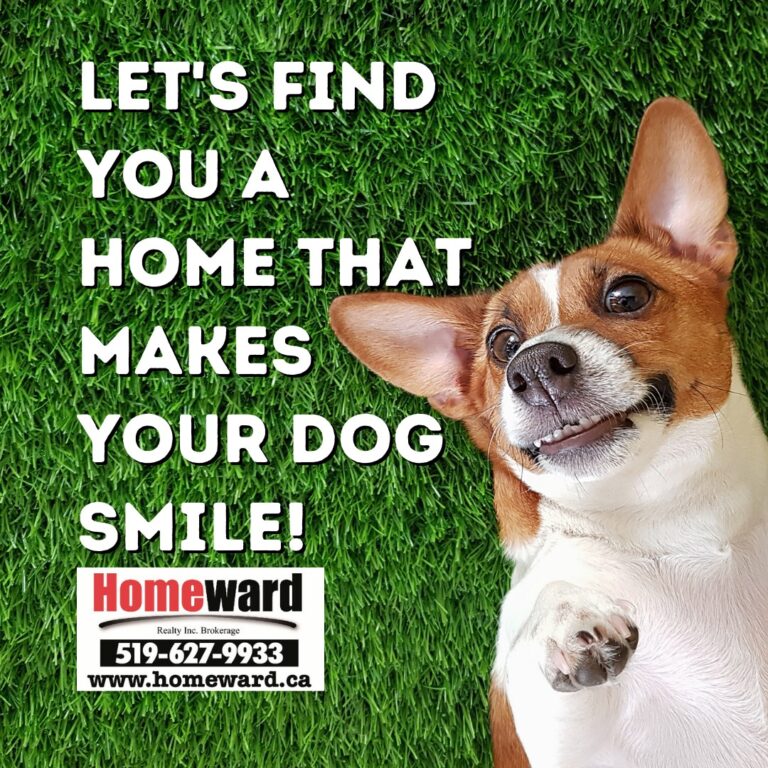 We’d love to help you find a home that will make your dog smile!