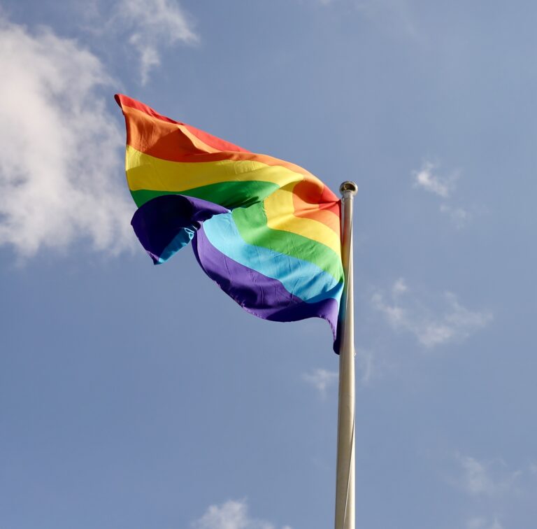 Pride flag stolen from Wheatley Area Public School